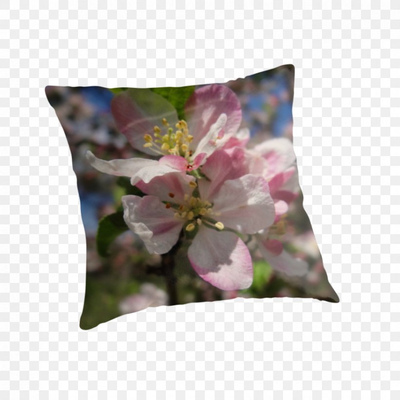 Throw Pillows Cushion Flower Petal, PNG, 875x875px, Throw Pillows, Blossom, Cherry, Cherry Blossom, Cushion Download Free