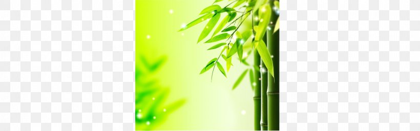 Bamboo Bamboe Leaf Green, PNG, 1920x600px, Bamboo, Bamboe, Brand, Drawing, Grass Download Free