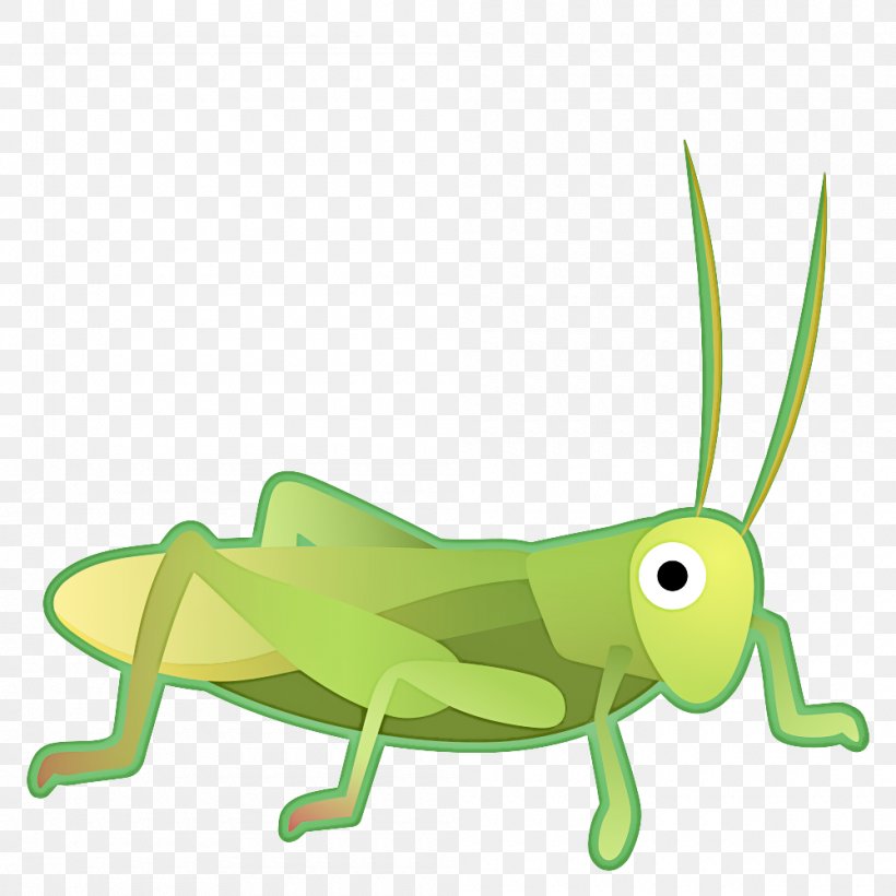 Grasshopper Grasshopper, PNG, 1000x1000px, Grasshopper, Animal Figure, Cartoon, Cricket, Cricketlike Insect Download Free