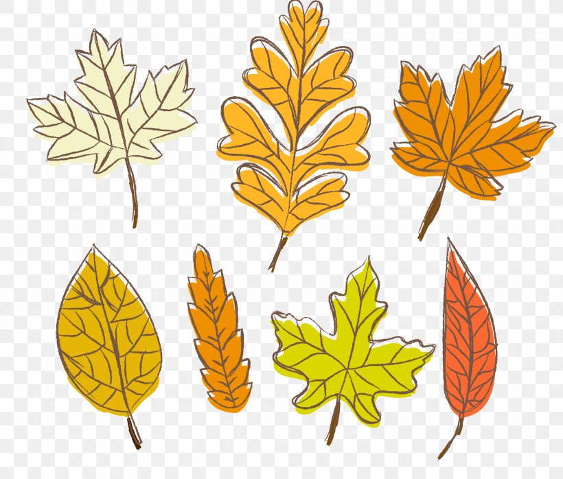 Leaf Autumn, PNG, 2987x2546px, Leaf, Autumn, Coreldraw, Deciduous, Flat Design Download Free