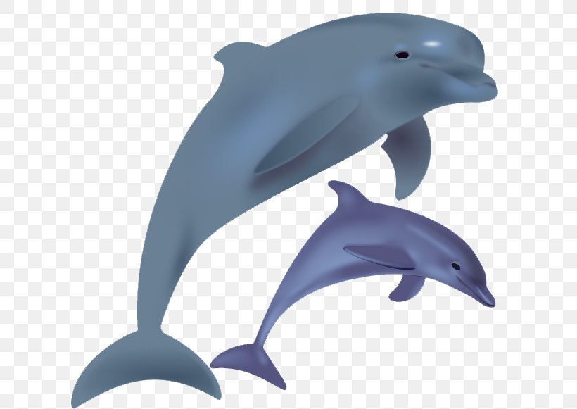 Common Bottlenose Dolphin Short-beaked Common Dolphin Tucuxi Wholphin White-beaked Dolphin, PNG, 618x581px, Dolphin, Blog, Bottlenose Dolphin, Common Bottlenose Dolphin, Cuteness Download Free