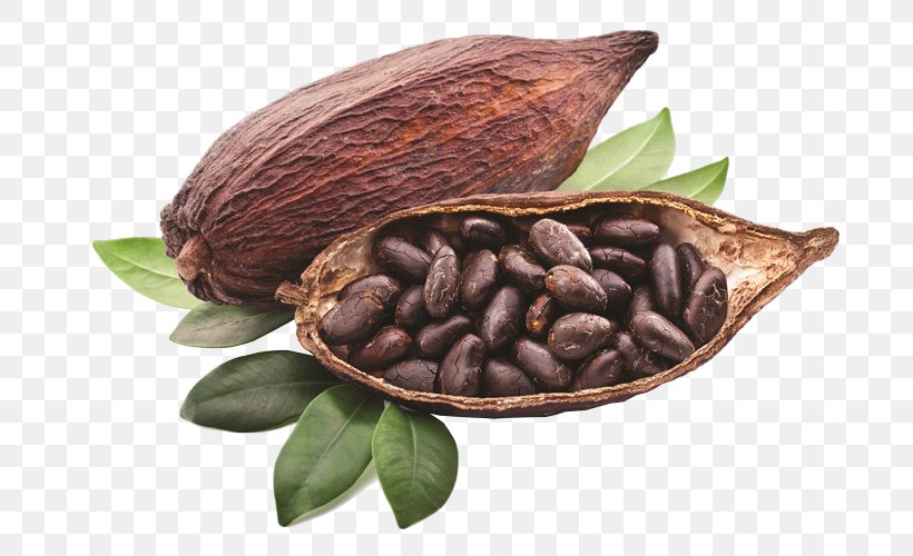 Criollo Cocoa Bean Cocoa Solids Chocolate Liquor Hot Chocolate, PNG, 710x500px, Criollo, Chocolate, Chocolate Liquor, Chocolates Valor Sa, Cocoa Bean Download Free