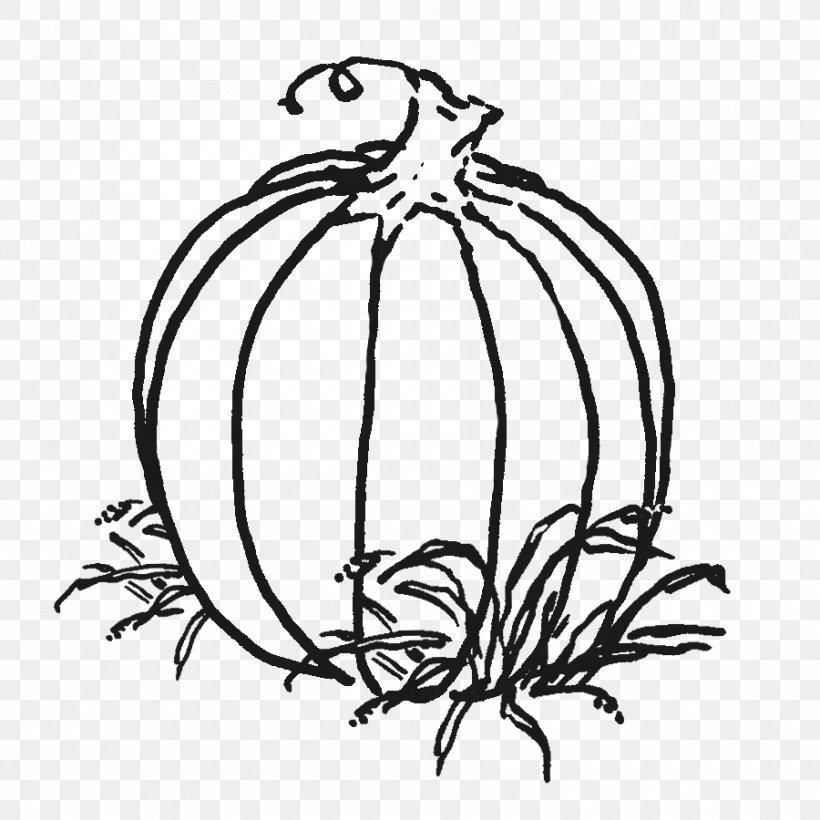 Pumpkin Drawing Clip Art, PNG, 900x900px, Pumpkin, Artwork, Black And White, Branch, Coloring Book Download Free