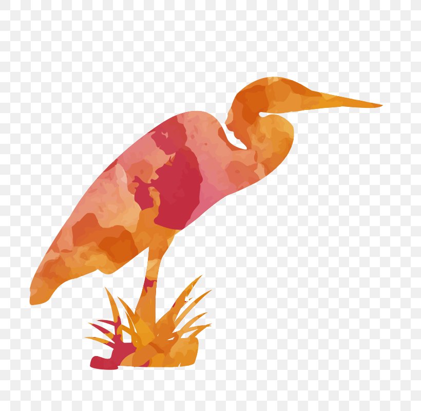 Vector Graphics Image Bird Design, PNG, 800x800px, Bird, Animal Figure, Beak, Color, Fauna Download Free
