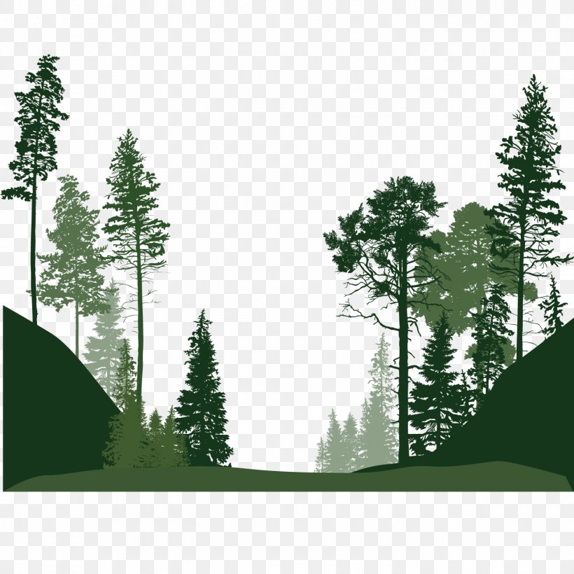 Forest Euclidean Vector Tree, PNG, 1500x1500px, Forest, Biome, Computer Graphics, Conifer, Evergreen Download Free