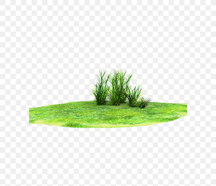 Lawn Rendering Clip Art, PNG, 600x706px, 3d Rendering, Lawn, Deviantart, Grass, Grass Family Download Free