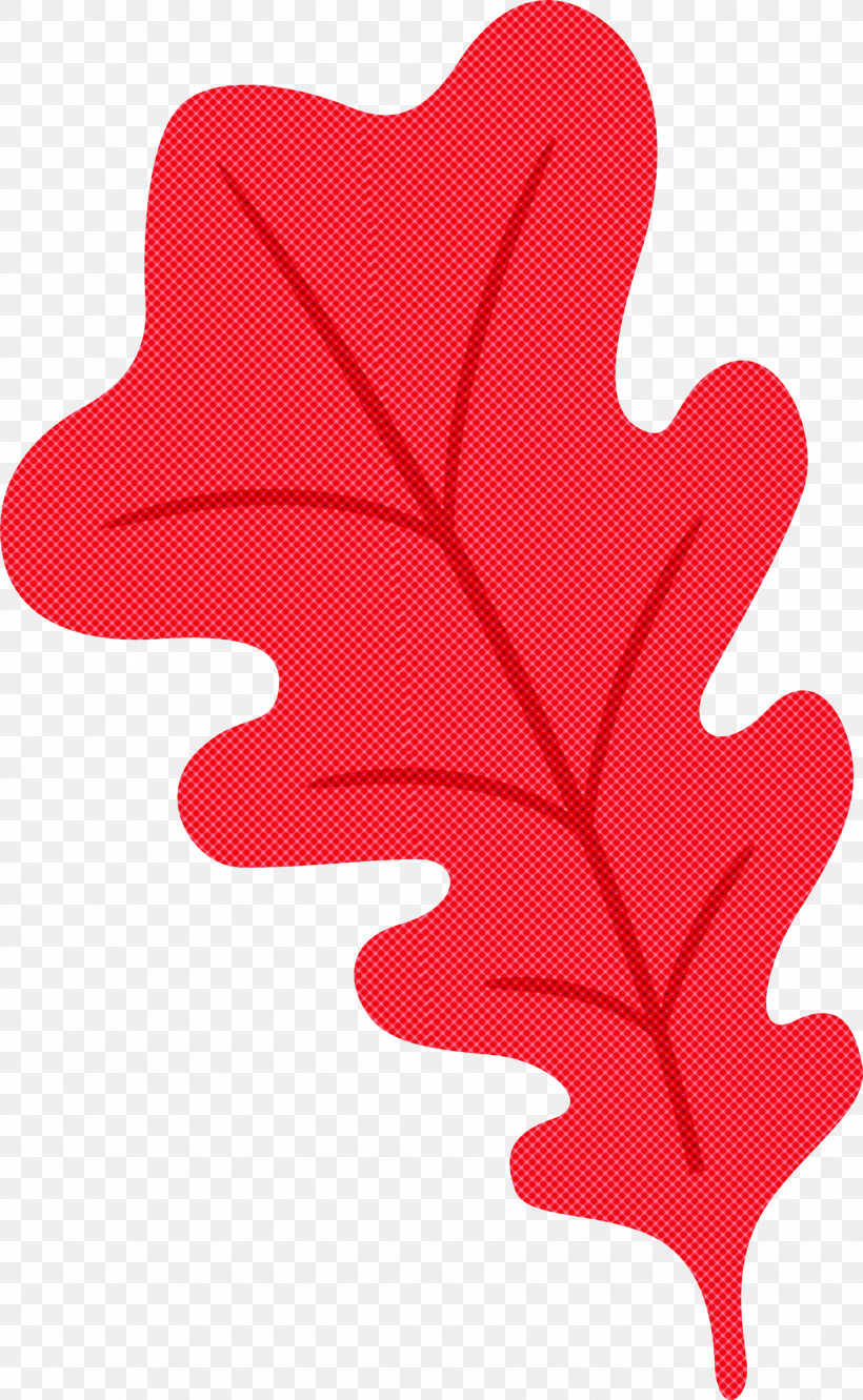 Oak Leaf, PNG, 1848x3000px, Oak Leaf, Biology, Flower, Leaf, Meter Download Free