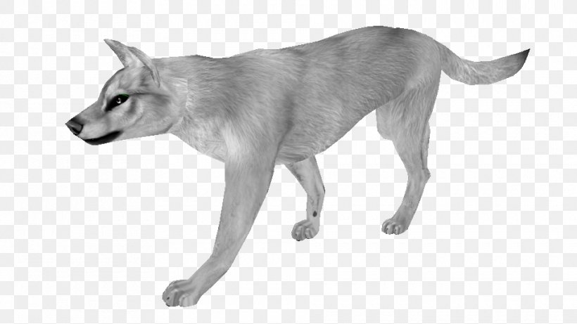 Saarloos Wolfdog Czechoslovakian Wolfdog Dog Breed Feral Coyote, PNG, 960x540px, Saarloos Wolfdog, Animal, Black And White, Borzoi, Breed Group Dog Download Free