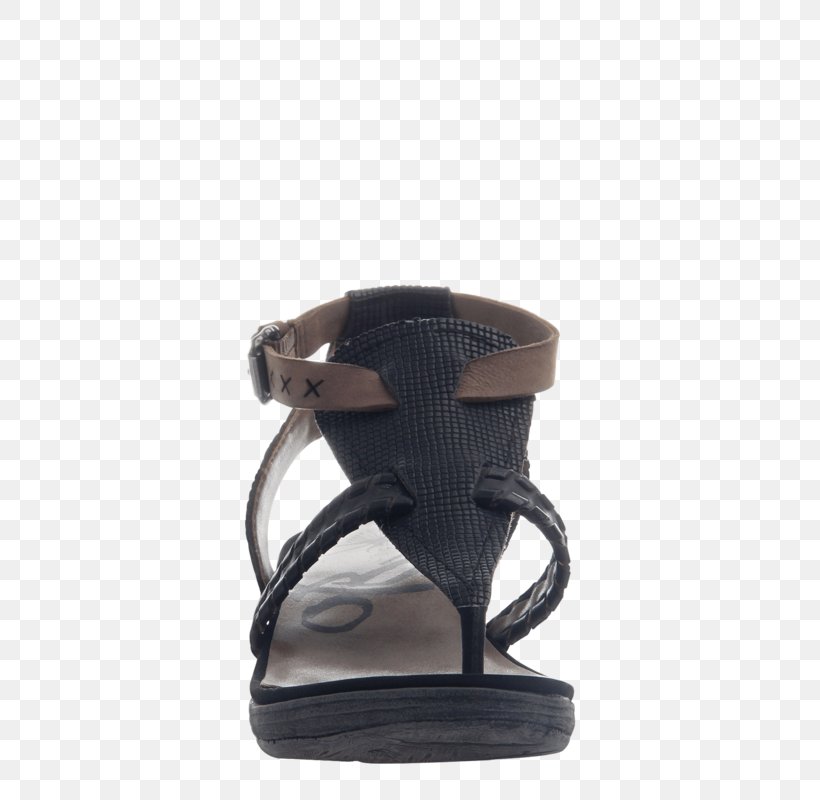 Shoe Sandal Flip-flops Clothing Leather, PNG, 800x800px, Shoe, Clothing, Dress, Flipflops, Footwear Download Free