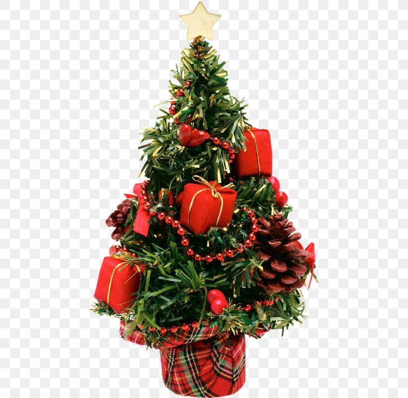 Christmas Tree New Year Tree, PNG, 462x800px, Christmas Tree, Christmas, Christmas Decoration, Christmas Ornament, Conifer Download Free