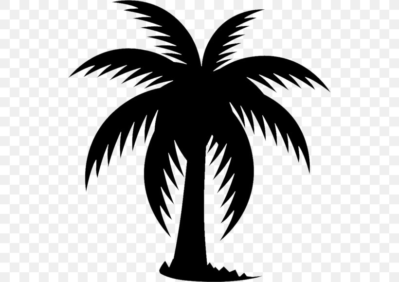 Arecaceae Date Palm Tree Clip Art, PNG, 539x580px, Arecaceae, Arecales, Babassu, Black And White, Branch Download Free