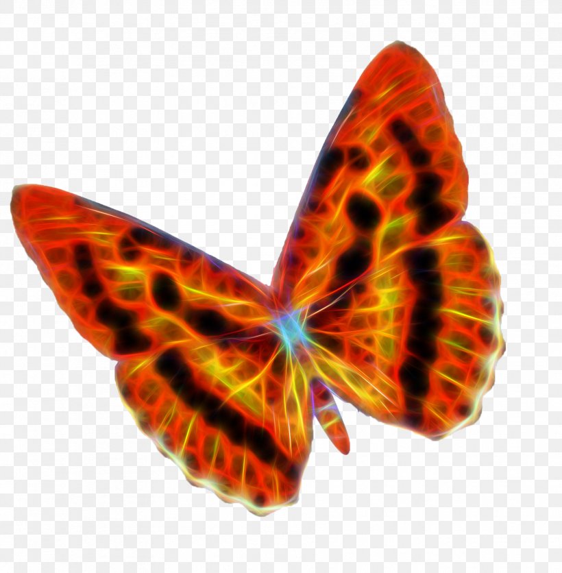 Butterfly Flame Moth, PNG, 1881x1919px, Butterfly, Flame, Fractal, Insect, Invertebrate Download Free