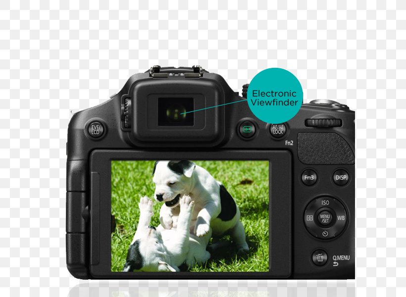 Digital SLR Panasonic Lumix DMC-FZ200 Panasonic Lumix DMC-FZ300 Camera Lens Bridge Camera, PNG, 615x600px, Digital Slr, Bridge Camera, Camera, Camera Accessory, Camera Lens Download Free