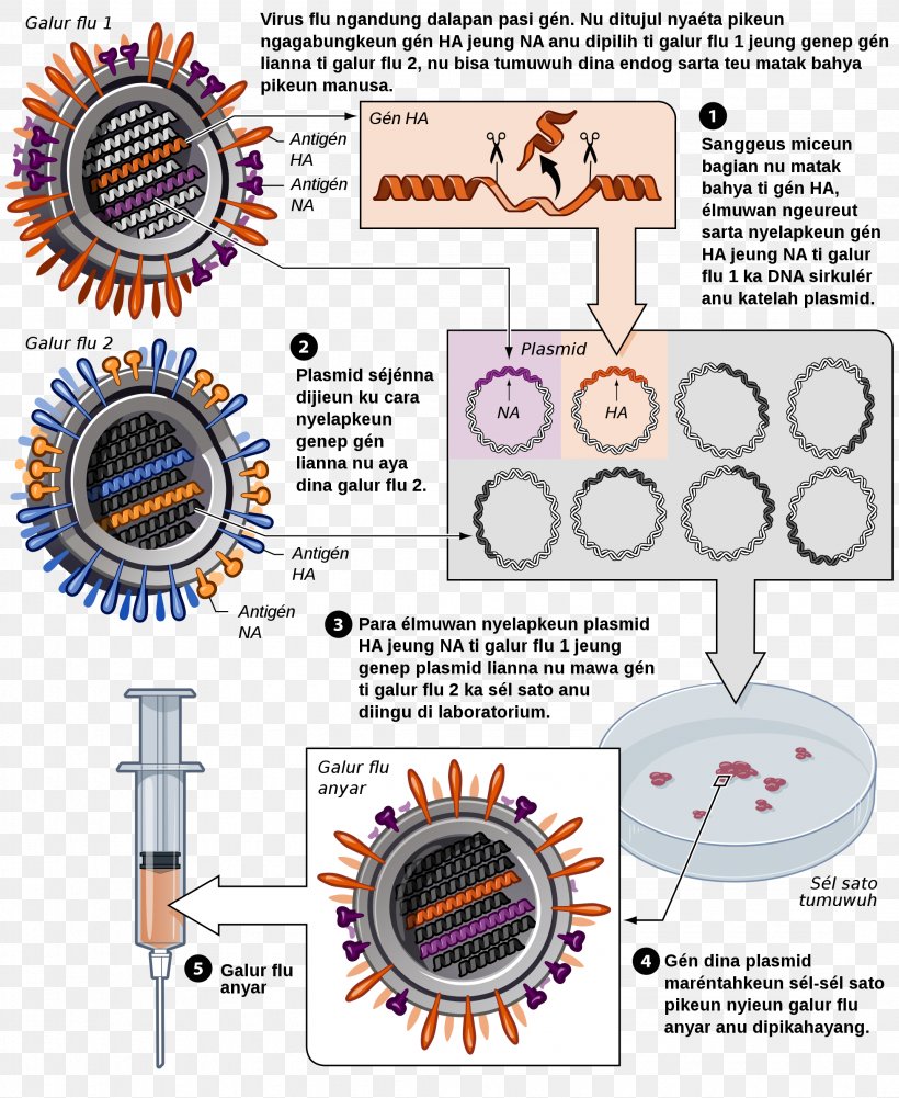 Influenza Vaccine DTaP Vaccine Hepatitis B Vaccine, PNG, 2145x2620px, 2009 Flu Pandemic Vaccine, Influenza Vaccine, Antibody, Area, Clutch Part Download Free