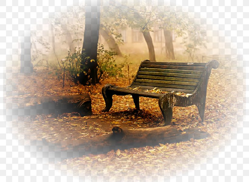 Autumn Grief Desktop Wallpaper Death, PNG, 800x600px, Watercolor, Cartoon, Flower, Frame, Heart Download Free
