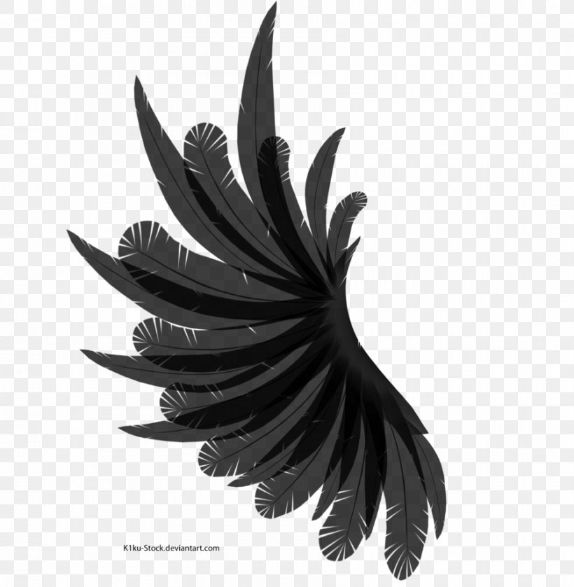 Desktop Wallpaper, PNG, 900x920px, Information, Black And White, Deviantart, Feather, Internet Media Type Download Free