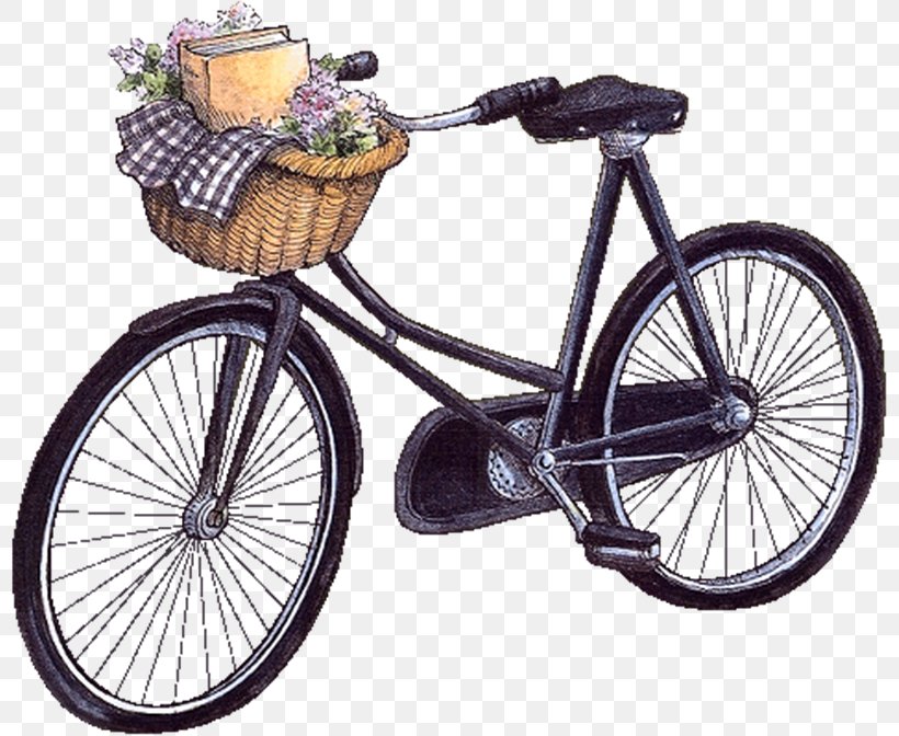 Bicycle GIF Cycling Image Woman, PNG, 800x672px, Bicycle, Bicycle Accessory, Bicycle Basket, Bicycle Drivetrain Part, Bicycle Fork Download Free