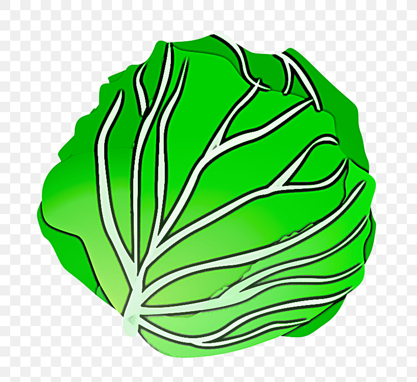 Green Leaf Cabbage Vegetable Leaf Vegetable, PNG, 750x750px, Green, Brassica, Cabbage, Herbaceous Plant, Leaf Download Free