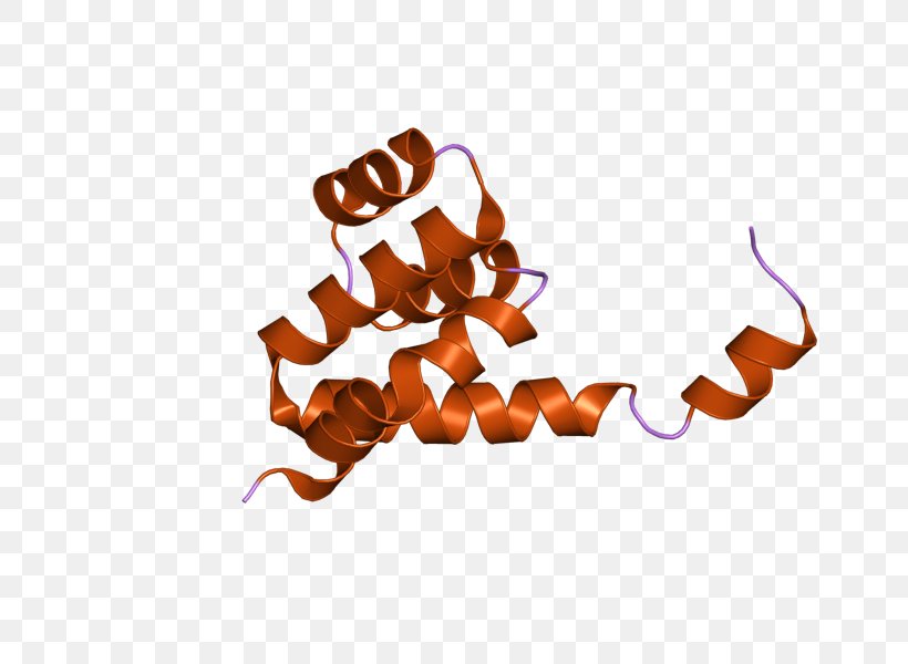 NOD1 Desktop Wallpaper Protein Receptor Clip Art, PNG, 800x600px, Protein, Bacteria, Computer, Gene, Homo Sapiens Download Free