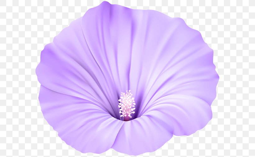 Pink Flowers Violet Purple Clip Art, PNG, 600x504px, Flower, Blue, Flowering Plant, Herbaceous Plant, Lavender Download Free