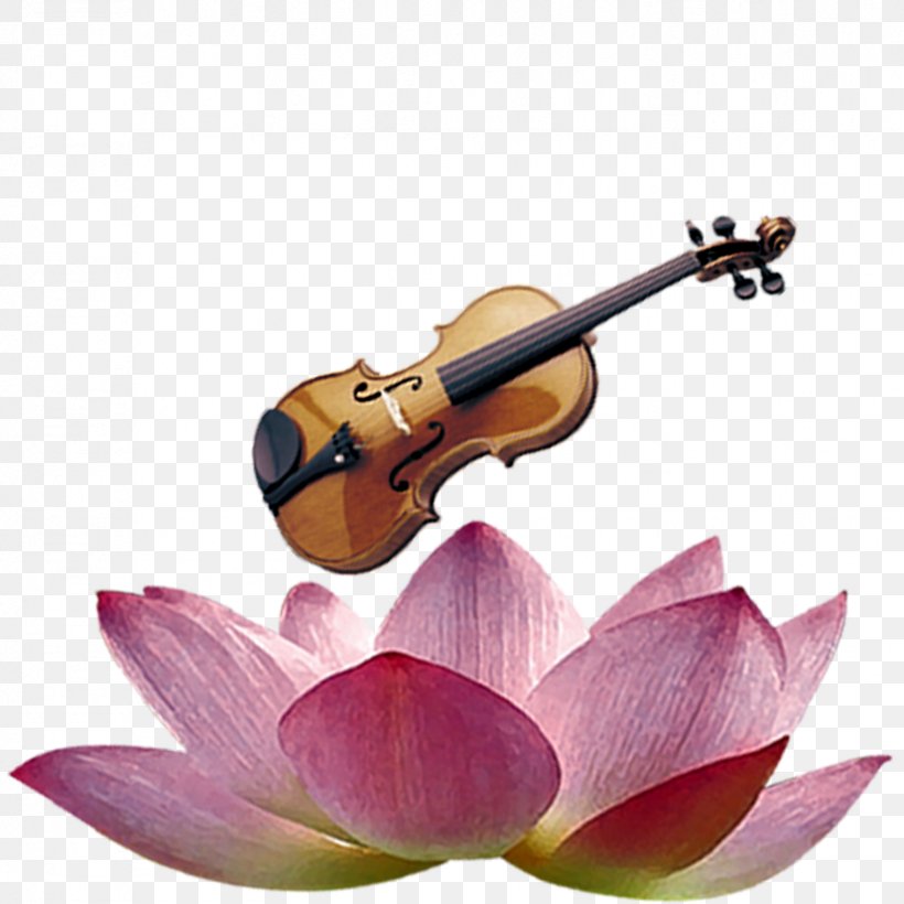 Violin Cello Viola Download, PNG, 827x827px, Watercolor, Cartoon, Flower, Frame, Heart Download Free
