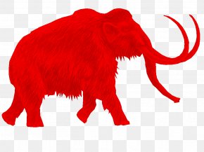 Andrew Griffiths - African Elephant Indian Elephant Mini Mammoth Films Production Companies Woolly Mammoth PNG