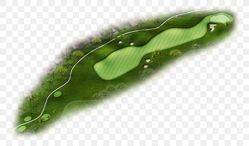 Golf Course Golf Tees Kapolei Golf Club Par, PNG, 1024x600px, Golf, Golf Clubs, Golf Course, Golf Fairway, Golf Tees Download Free