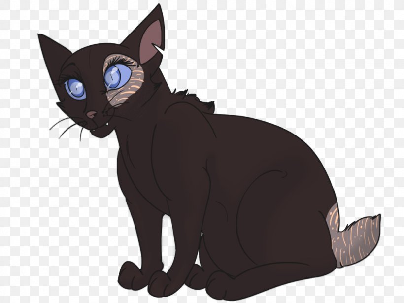 Korat Whiskers Kitten Domestic Short-haired Cat Black Cat, PNG, 1024x768px, Korat, Asia, Asian, Asian People, Black Download Free