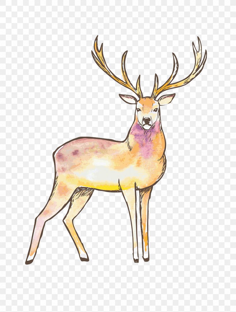 Reindeer Elk Red Deer Moose, PNG, 891x1176px, Reindeer, Antler, Deer, Drawing, Elk Download Free