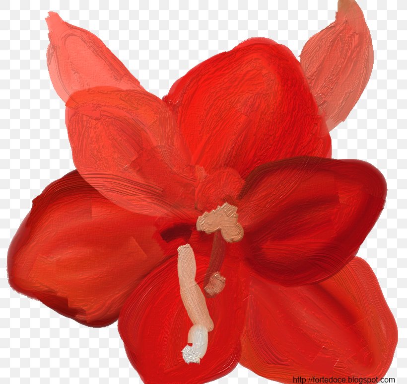 Amaryllis Cut Flowers Bulb Plant, PNG, 798x773px, Amaryllis, Blog, Building, Bulb, Color Download Free