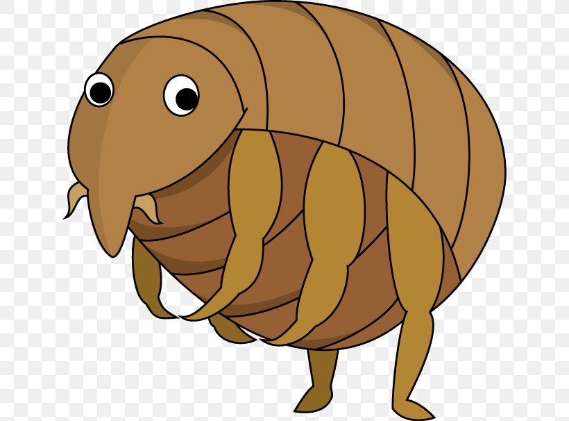 Insect Flea Canidae Dog Pest, PNG, 640x606px, Insect, Acari, Canidae, Carnivoran, Cartoon Download Free