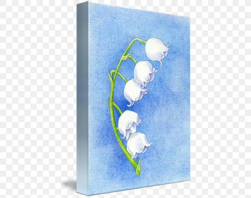 Lily Of The Valley Drawing Flower Watercolor Painting Imagekind, PNG, 434x650px, Lily Of The Valley, Art, Blue, Colored Pencil, Drawing Download Free
