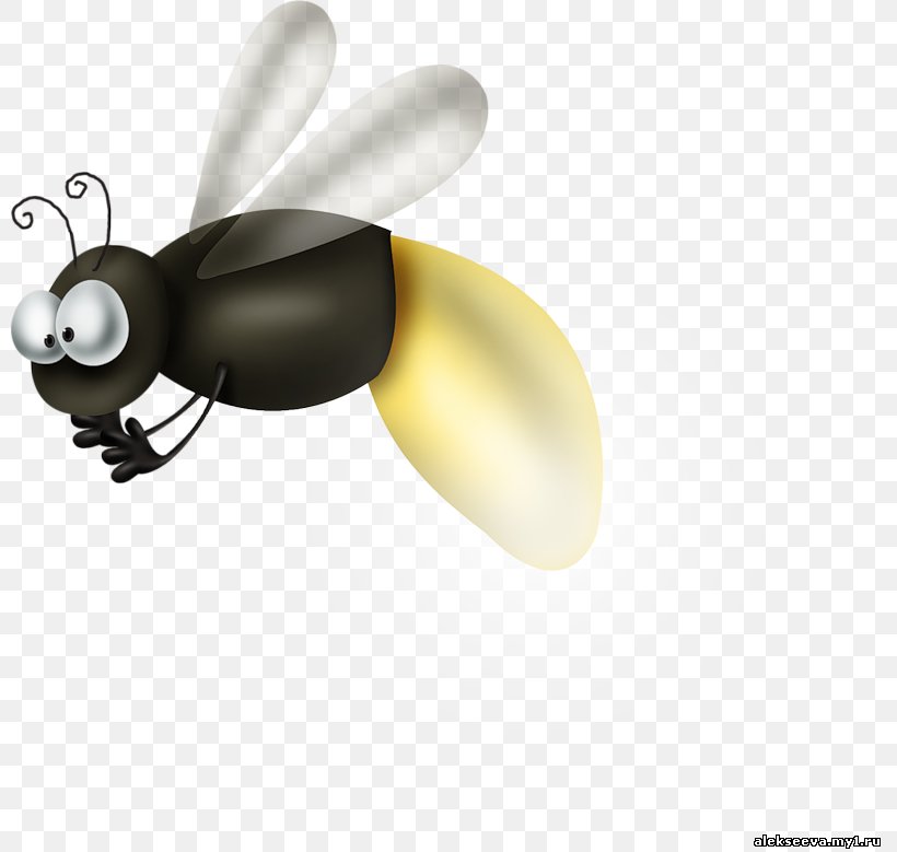 Ant Mosquito Insect, PNG, 800x779px, Ant, Animaatio, Black, Color, Fly Download Free