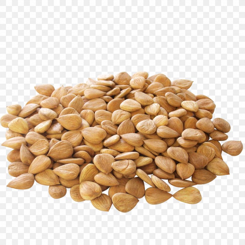 Apricot Kernel Nut Almond Seed, PNG, 1500x1500px, Apricot Kernel, Almond, Amygdalin, Apricot, Apricot Oil Download Free