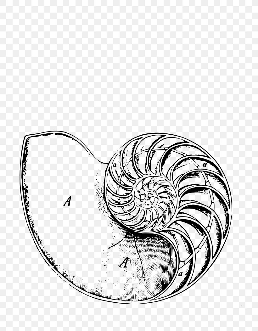 Chambered Nautilus Logarithmic Spiral Human Body, PNG, 744x1052px, Chambered Nautilus, Black And White, Body Art, Body Jewelry, Body Modification Download Free