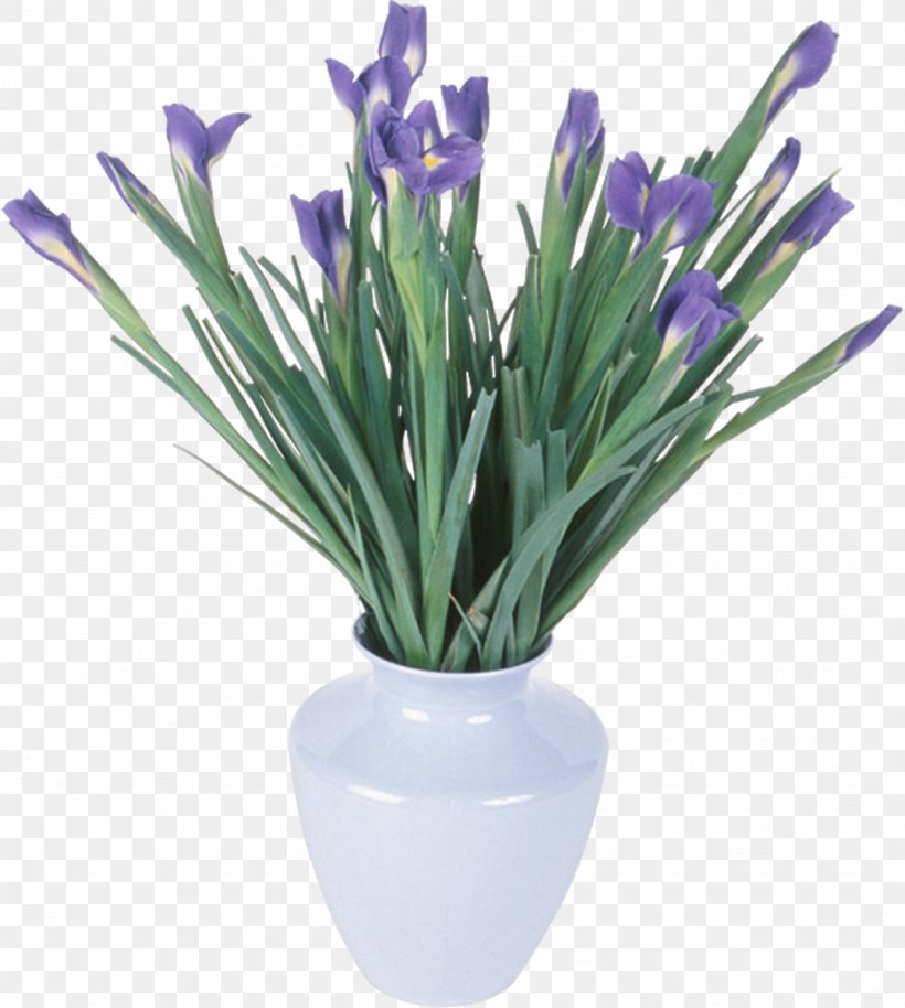 Irises Flower Clip Art, PNG, 1076x1200px, Irises, Artificial Flower, Crocus, Cut Flowers, Digital Image Download Free
