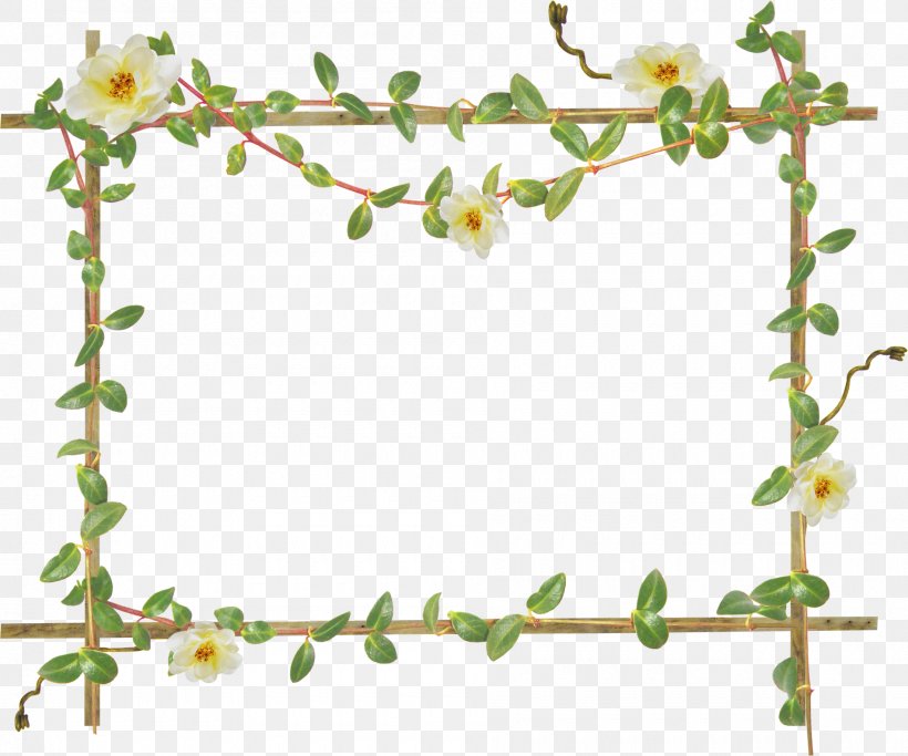 Picture Frames Photography, PNG, 1900x1583px, Picture Frames, Albom, Blossom, Branch, Film Frame Download Free