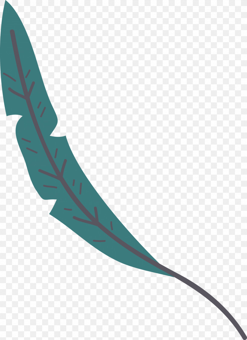 Feather, PNG, 2177x3000px, Leaf Cartoon, Angle, Feather, Leaf Abstract, Leaf Clipart Download Free