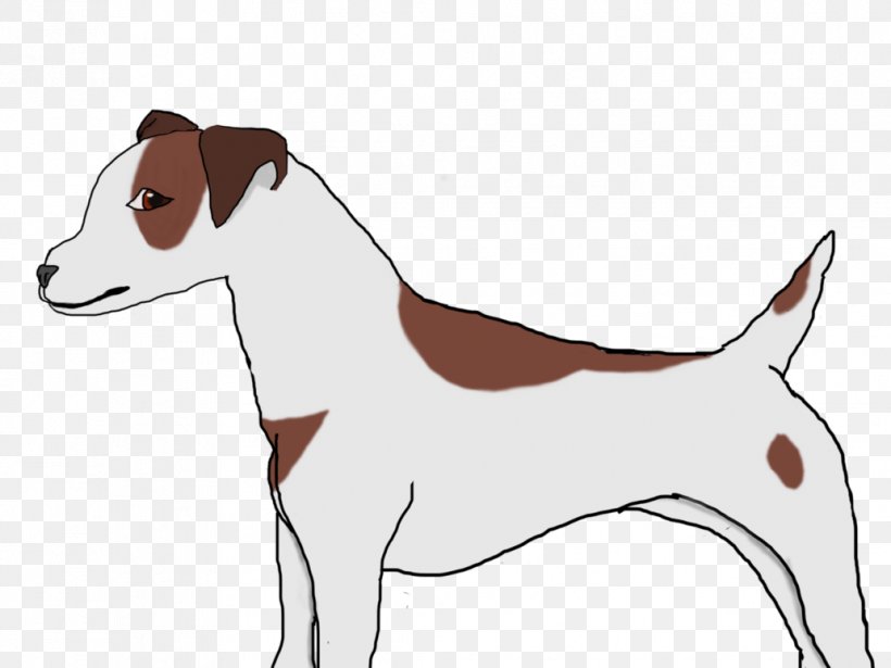 Dog Breed Jack Russell Terrier Italian Greyhound Puppy, PNG, 1032x774px, Dog Breed, Breed, Carnivoran, Dog, Dog Like Mammal Download Free