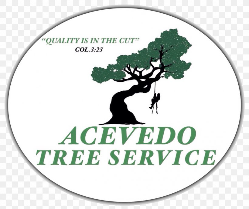 Seven King's Expert Tree Service & Stump Grinding Tree Stump Arborist Stump Grinder, PNG, 960x810px, Tree Stump, Arboriculture, Arborist, Business, Deer Download Free