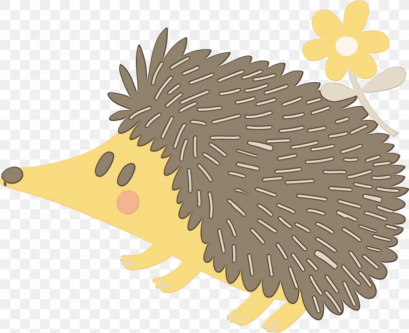 Watercolor Cartoon, PNG, 1848x1507px, Echidna, Drawing, Erinaceidae, Hedgehog, New World Porcupine Download Free
