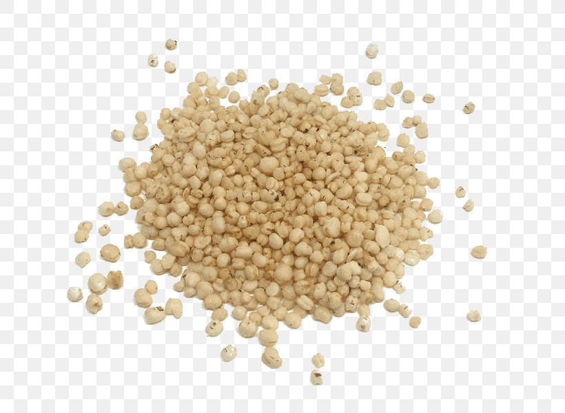 Cereal Germ Whole Grain Sorghum, PNG, 800x600px, Cereal, Barley, Bean, Cereal Germ, Choosemyplate Download Free