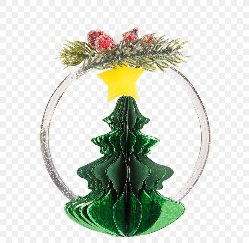 Christmas Ornament Flowering Plant Tree, PNG, 800x800px, Christmas Ornament, Christmas, Christmas Decoration, Flower, Flowering Plant Download Free