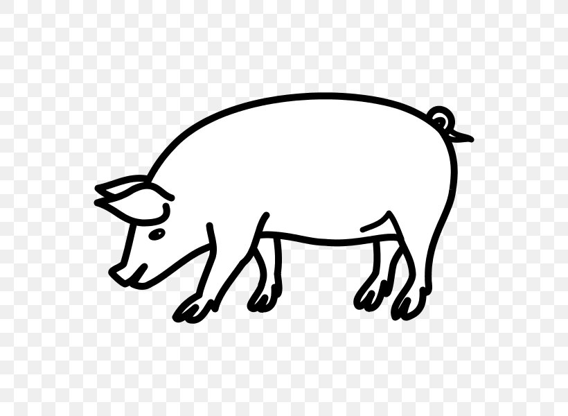 Domestic Pig Drawing Circus Line Art Clip Art, PNG, 600x600px, Domestic Pig, Animal Figure, Area, Arena, Art Download Free