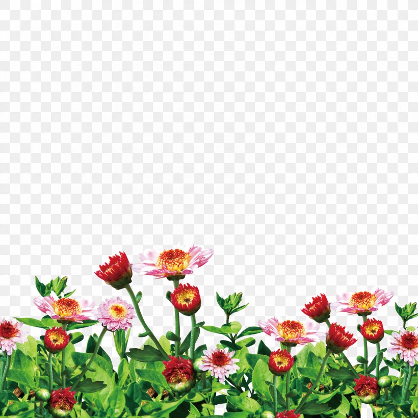 Flower Garden Image Clip Art, PNG, 1701x1701px, Flower, Botany, Color, Drawing, Flower Garden Download Free