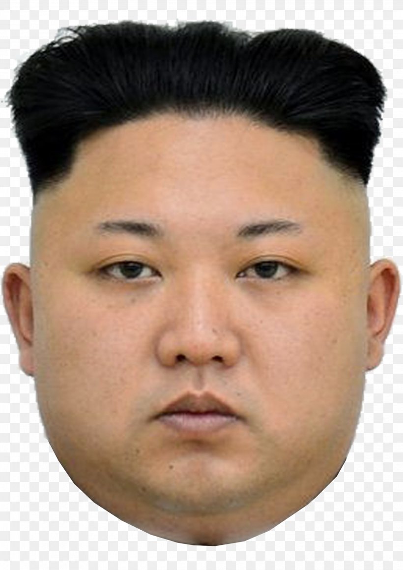 Kim Jong-un North Korea South Korea United States Photograph, PNG, 2480x3508px, Kim Jongun, Camera, Cheek, Chin, Close Up Download Free