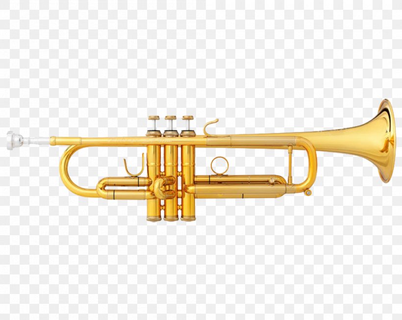Pocket Trumpet Brass Instruments Trombone Musical Instruments, PNG, 1000x797px, Watercolor, Cartoon, Flower, Frame, Heart Download Free
