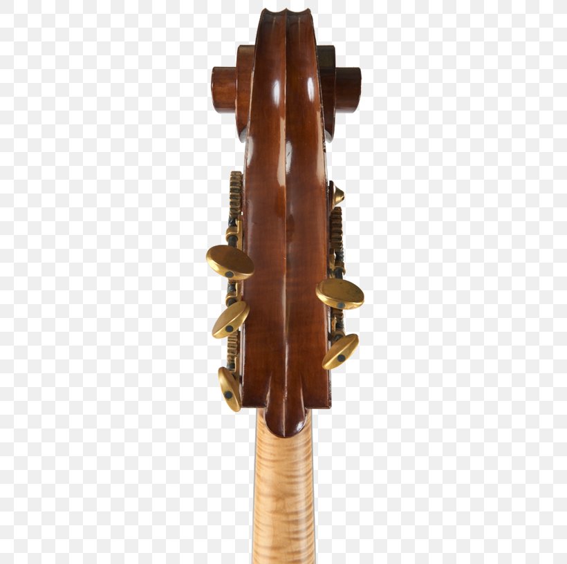 String Instruments Musical Instruments, PNG, 500x816px, String Instruments, Musical Instrument, Musical Instruments, String, String Instrument Download Free