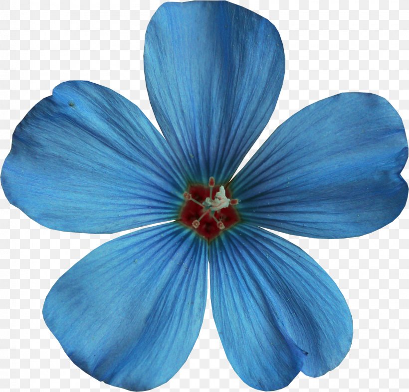 Blue Color Clip Art, PNG, 1605x1541px, Blue, Color, Flower, Flowering Plant, Hibiscus Download Free
