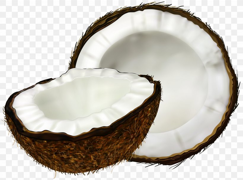 Coconut Water Coconut Milk Coconut Cake, PNG, 6000x4445px, Milk, Coconut, Coconut Cake, Coconut Milk, Coconut Oil Download Free